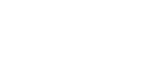 OIG Logo